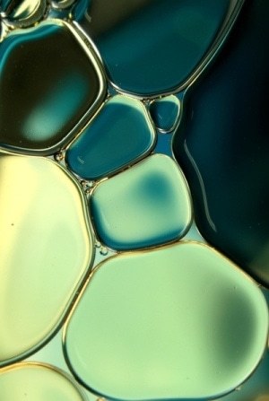 a close up of a glass bowl with water in it