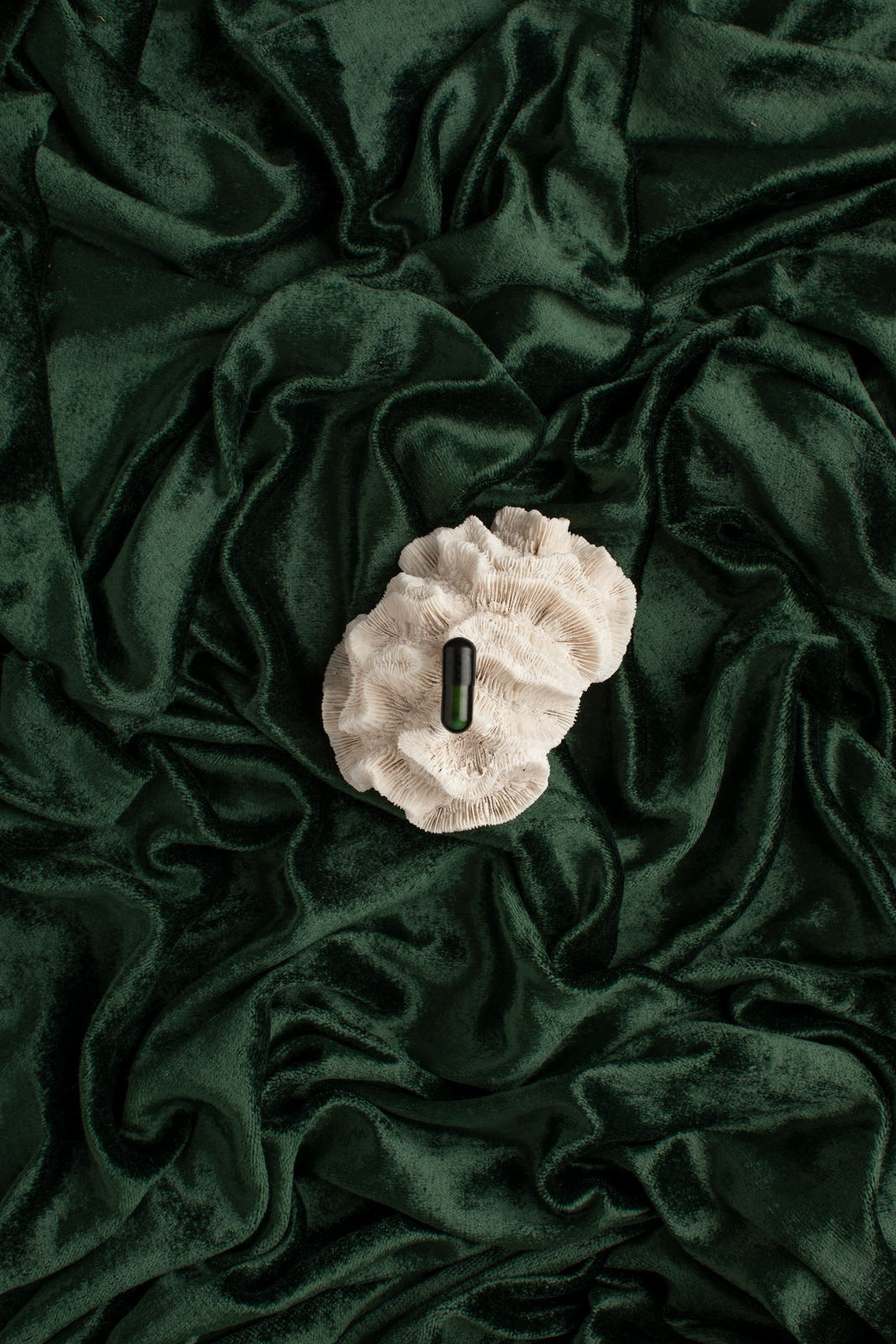 a white flower sitting on top of a green blanket