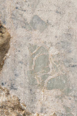 a close up of a rock with a bird on it