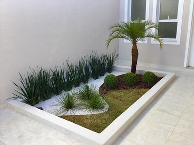 a planter filled with grass and a palm tree