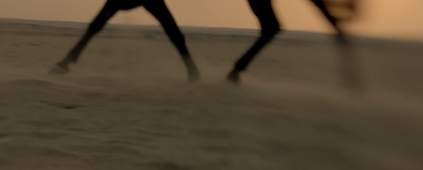 a blurry photo of two people walking in the sand