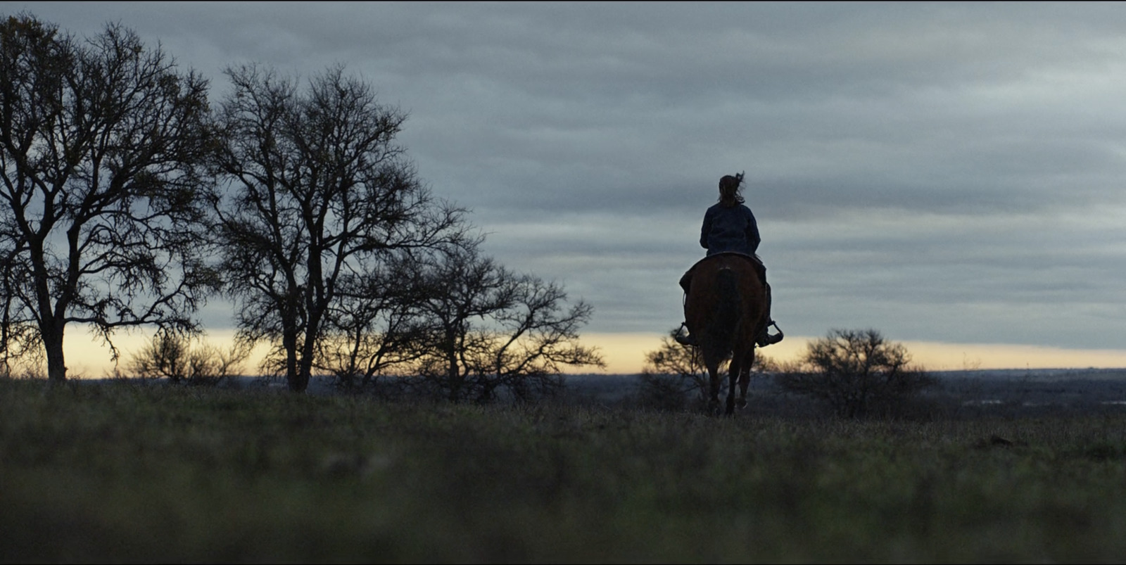 a person riding on the back of a brown horse