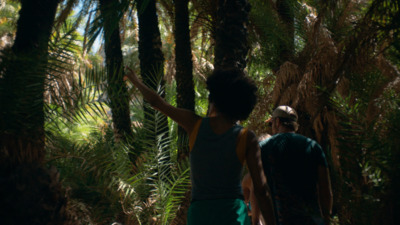 a man and a woman walking through a forest