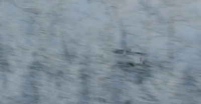 a blurry photo of a plane flying over a forest