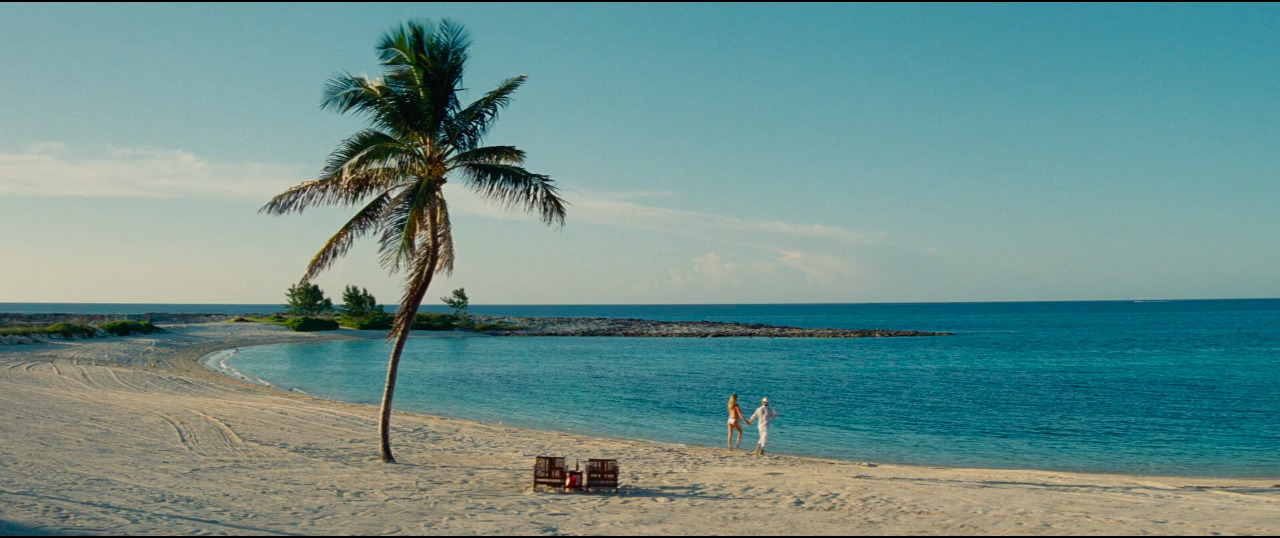 two people standing on a beach next to a palm tree