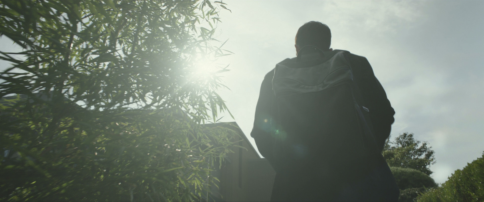 a man standing in front of a tree with the sun shining behind him