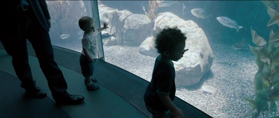 a little boy standing in front of a fish tank