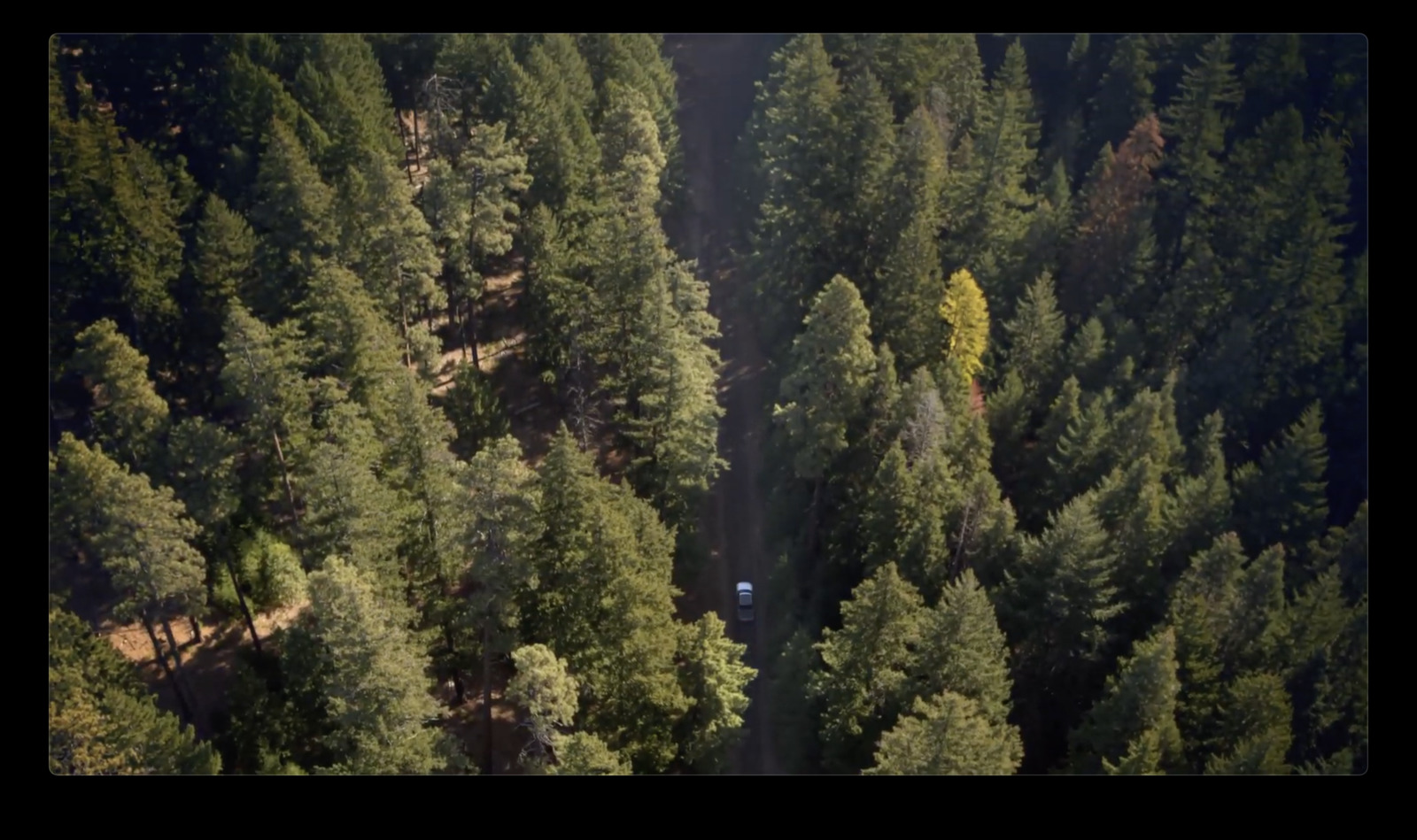 an aerial view of a car driving through a forest