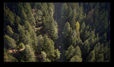 an aerial view of a car driving through a forest