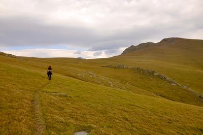 a person riding a horse on a grassy hill