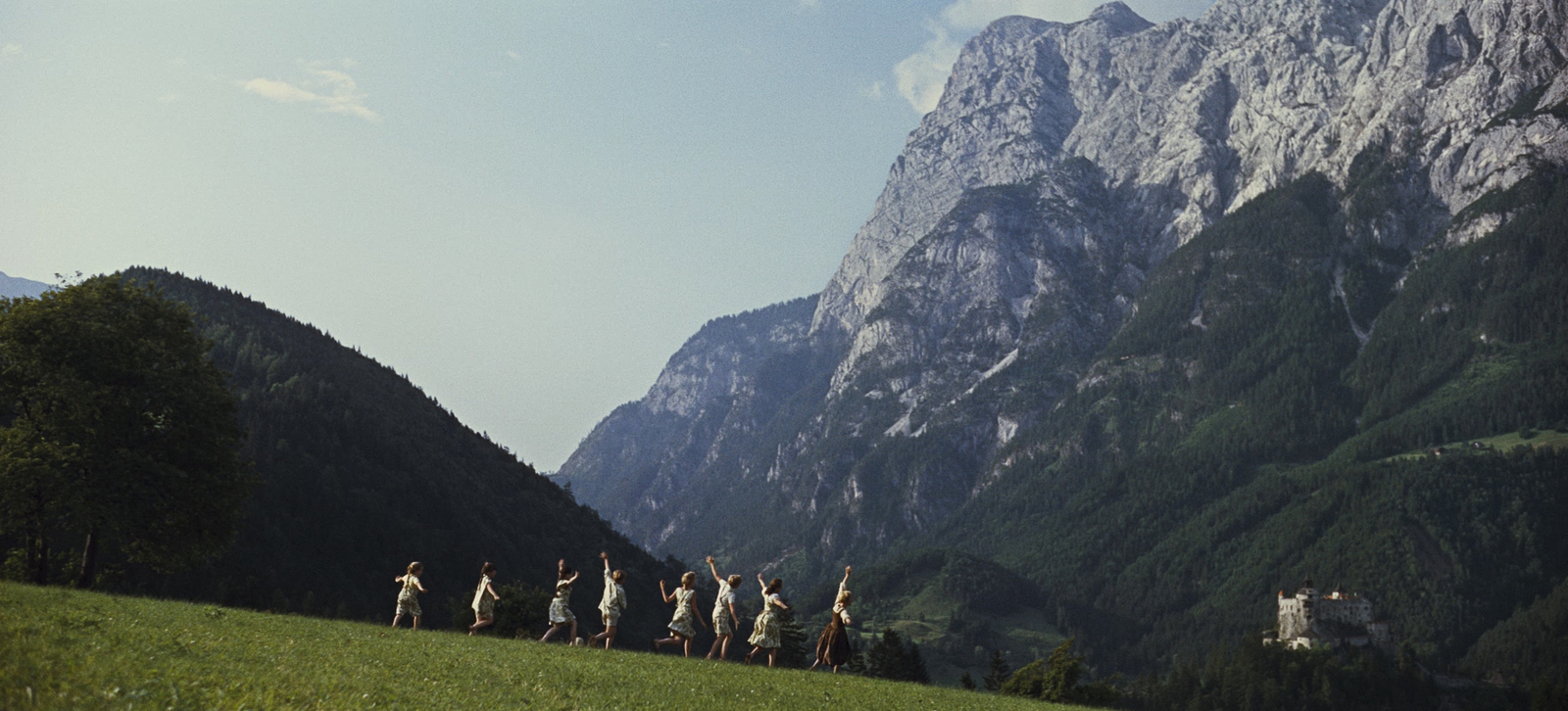 a group of people standing on top of a lush green hillside