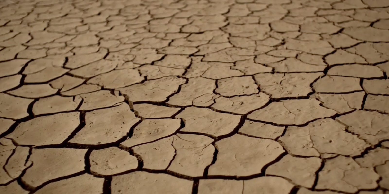 a cracked ground with a small patch of dirt