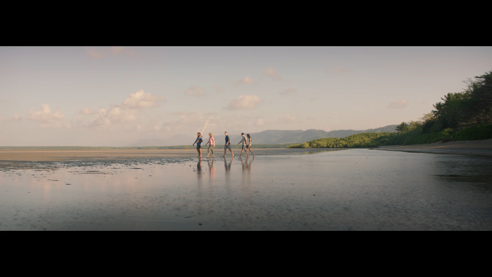 a group of people walking along a wet beach