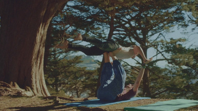 a man doing a handstand on top of a tree