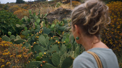 a woman standing in front of a cactus field