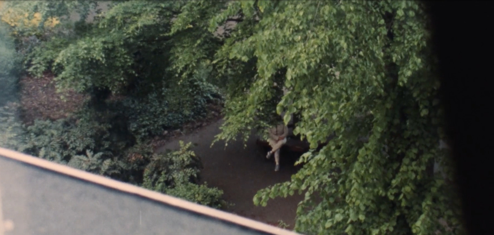 an aerial view of a person walking through a forest