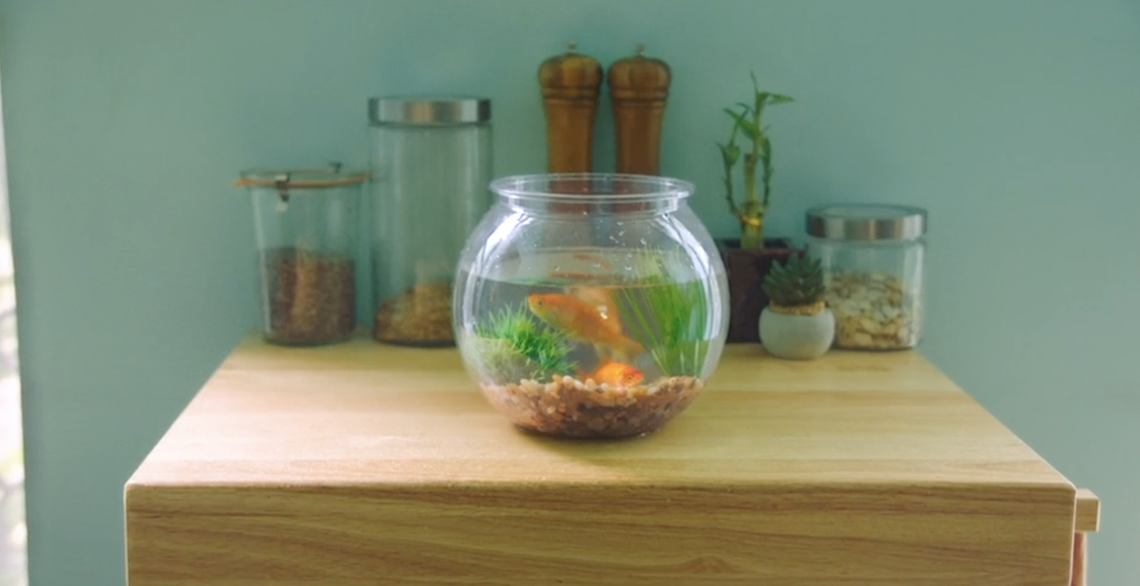 a fish bowl sitting on top of a wooden table