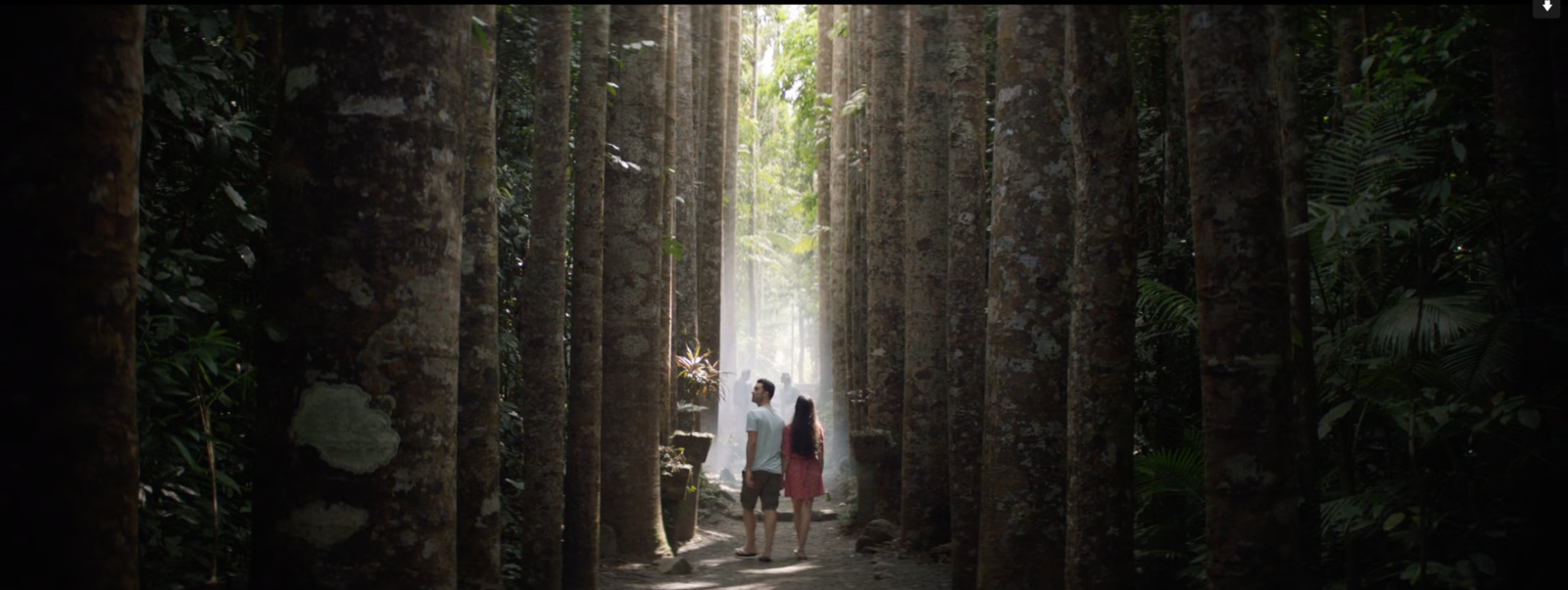 a couple of people standing in the middle of a forest