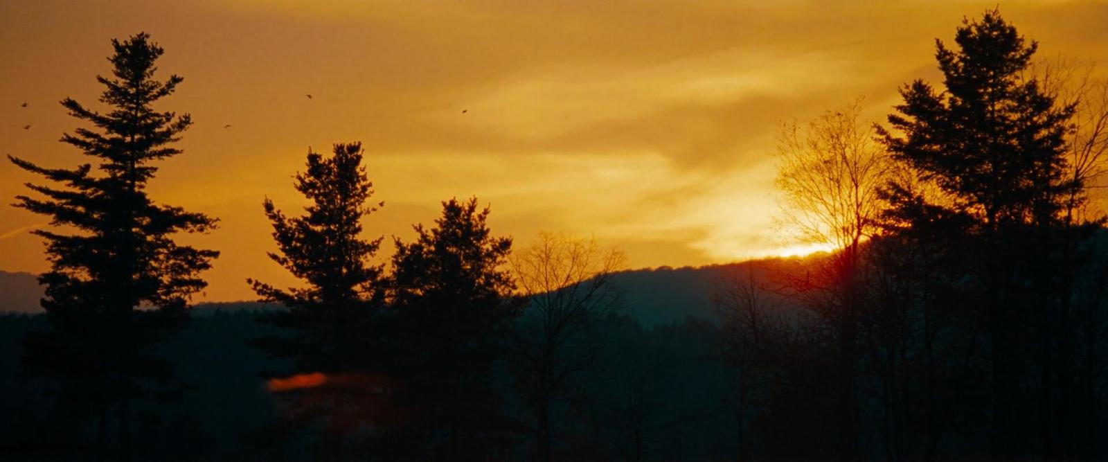 the sun is setting behind some trees