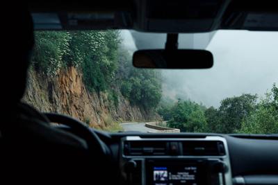 a car driving down a road next to a lush green forest