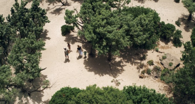 a group of people walking through a forest