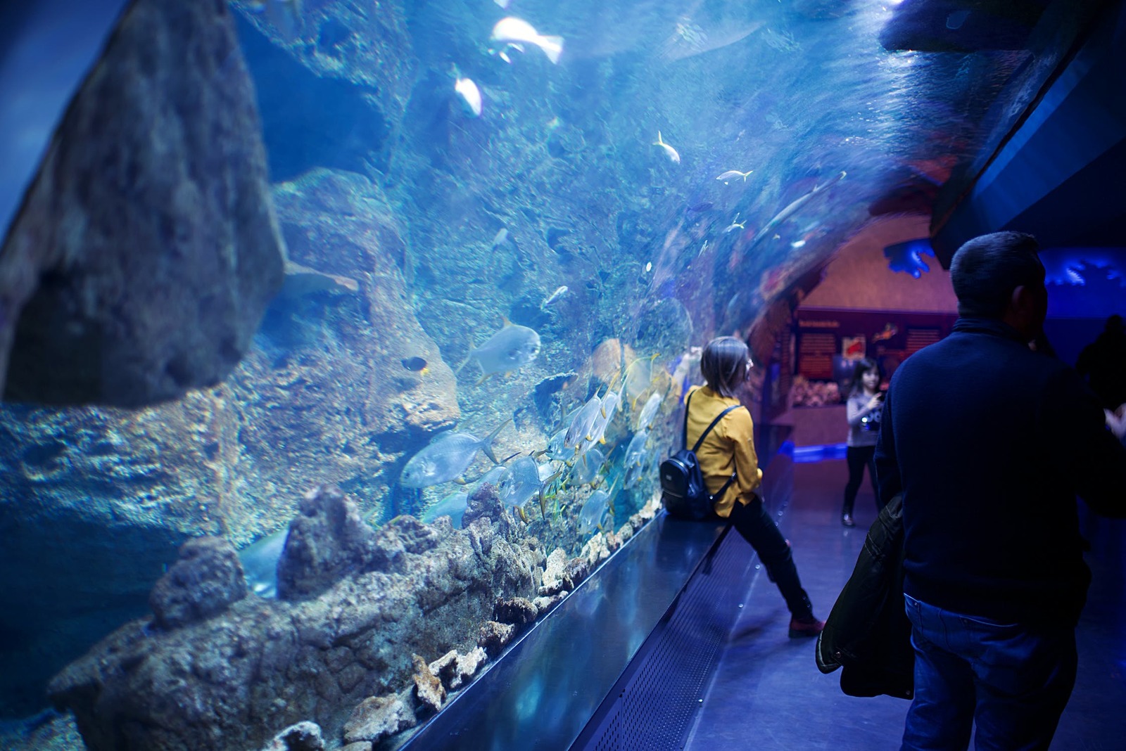 a man and a woman looking at fish in an aquarium