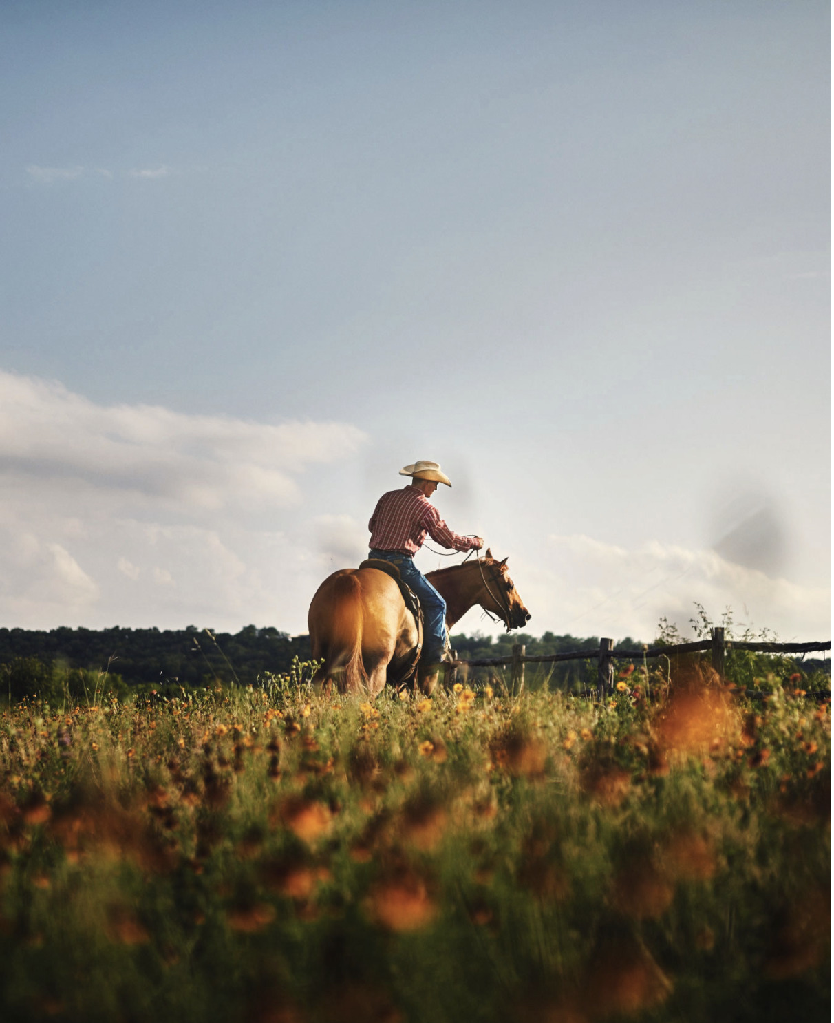 a man riding on the back of a brown horse