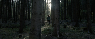 a person standing in the middle of a forest