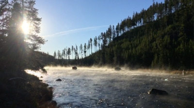 a body of water surrounded by a forest