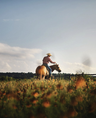 a man riding on the back of a brown horse