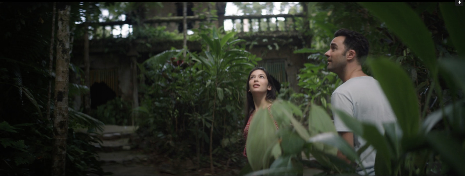 a man standing next to a woman in a forest