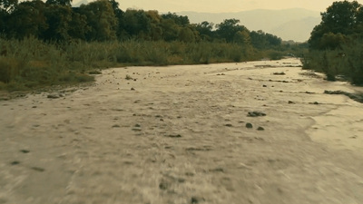 a river running through a lush green forest