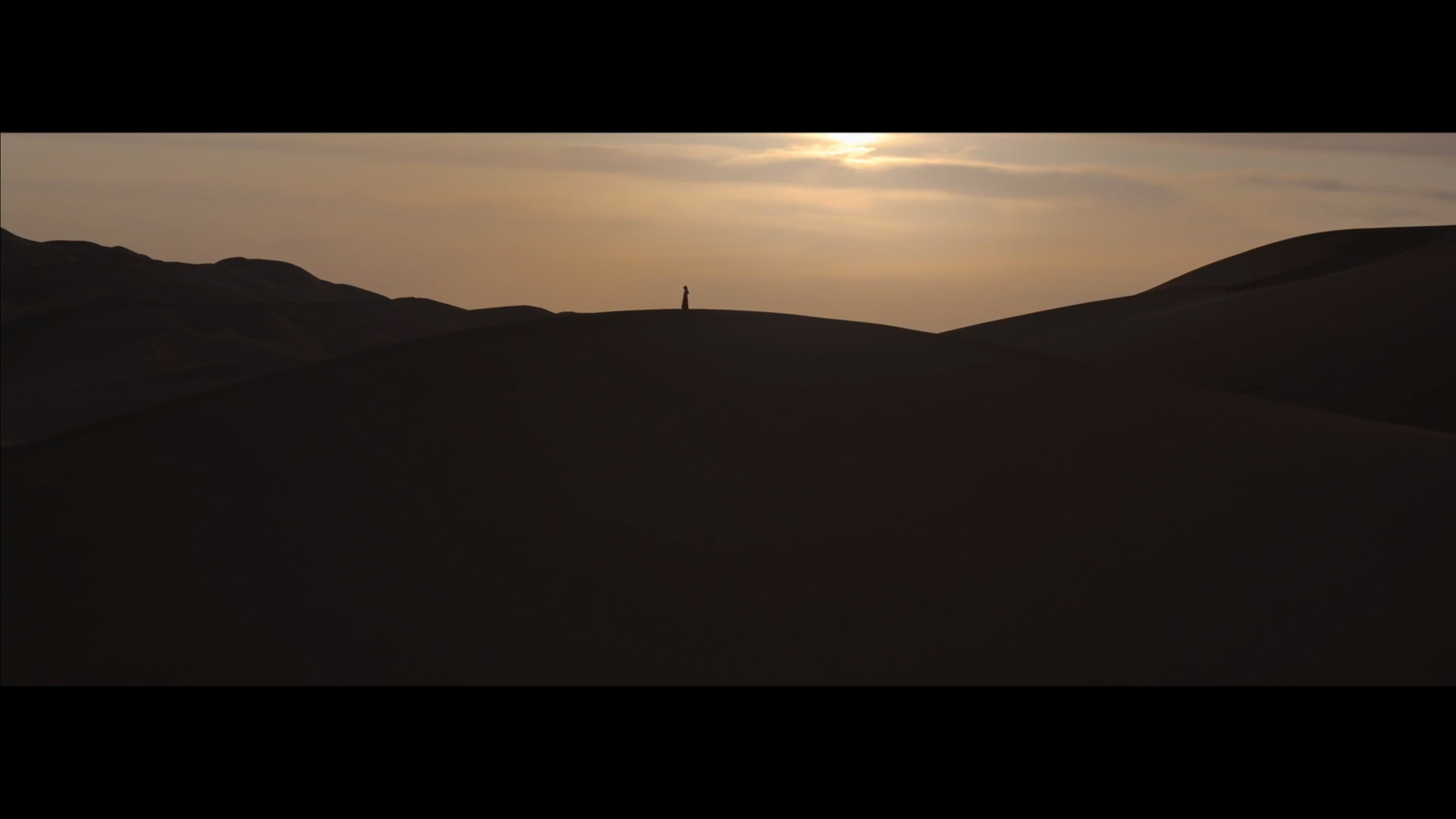 a person standing on top of a sand dune