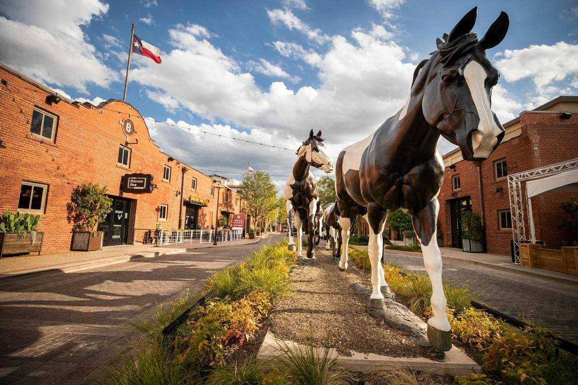 a couple of horses that are standing in the street