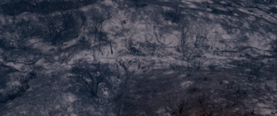 an aerial view of a mountain covered in trees