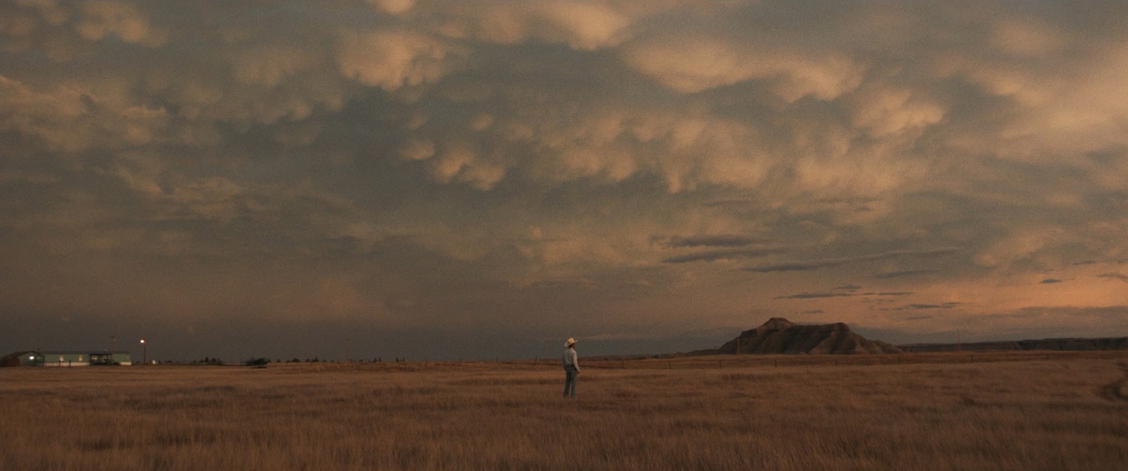 a person standing in a field under a cloudy sky