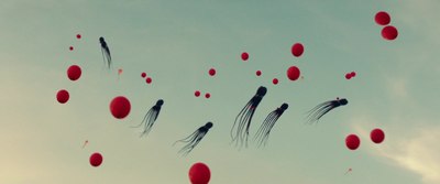 a group of kites flying in the sky