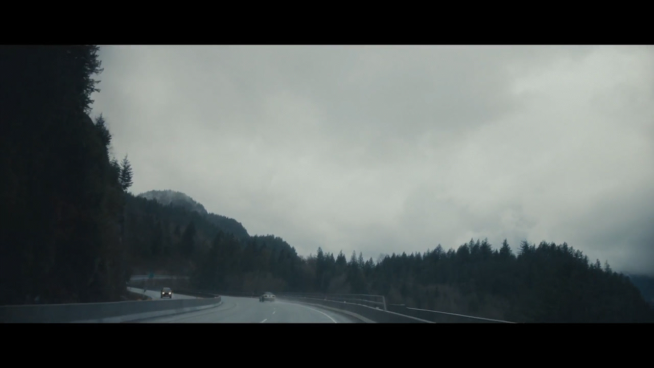 a car driving down a road next to a forest