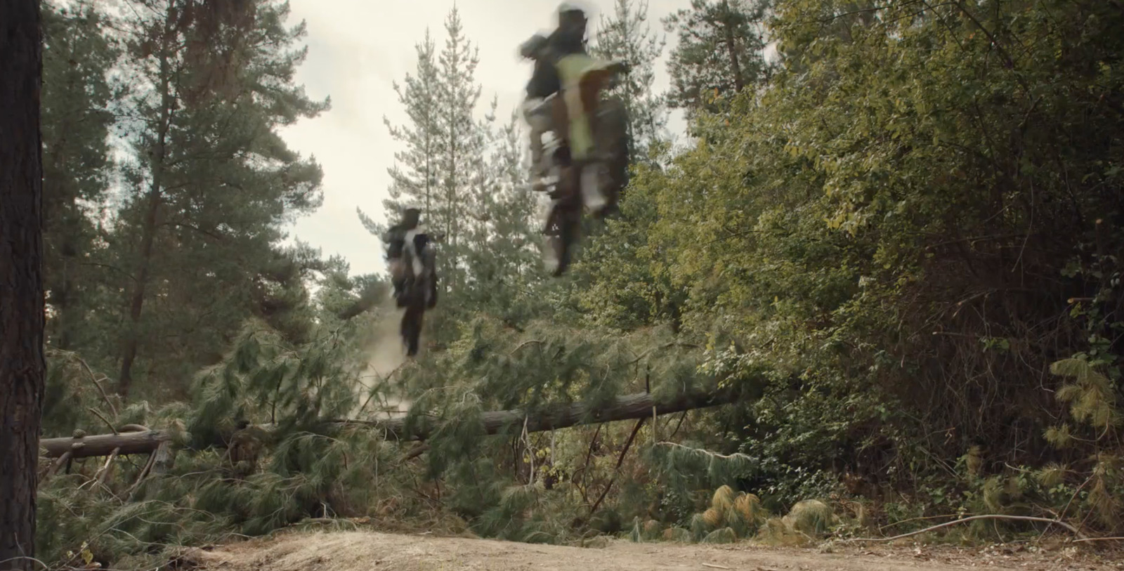 a couple of people riding motorcycles over a fallen tree