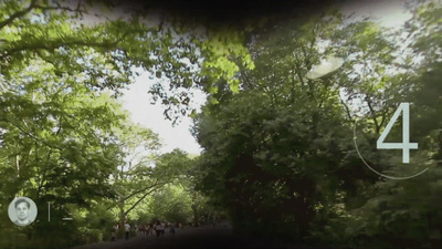 a group of people walking through a forest