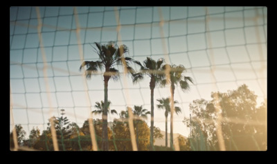 a soccer goal with palm trees in the background