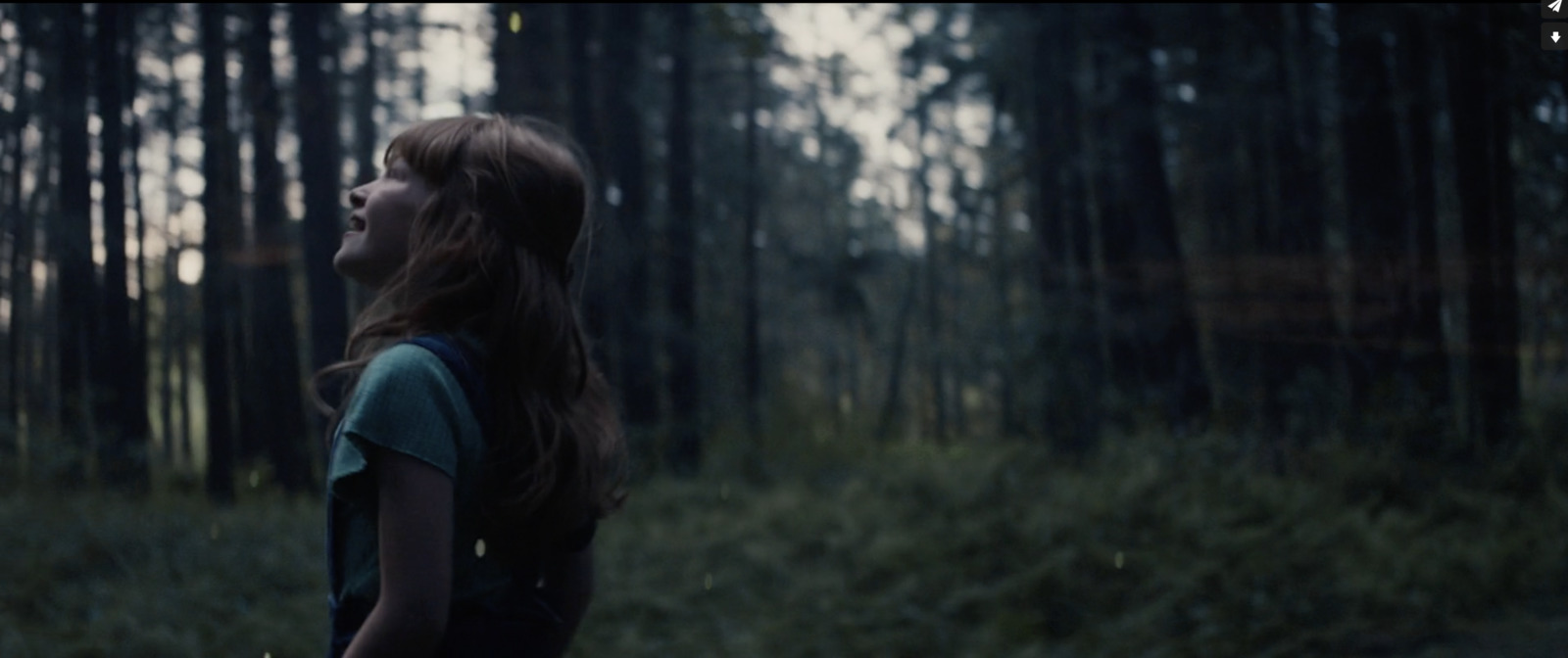 a woman standing in the middle of a forest