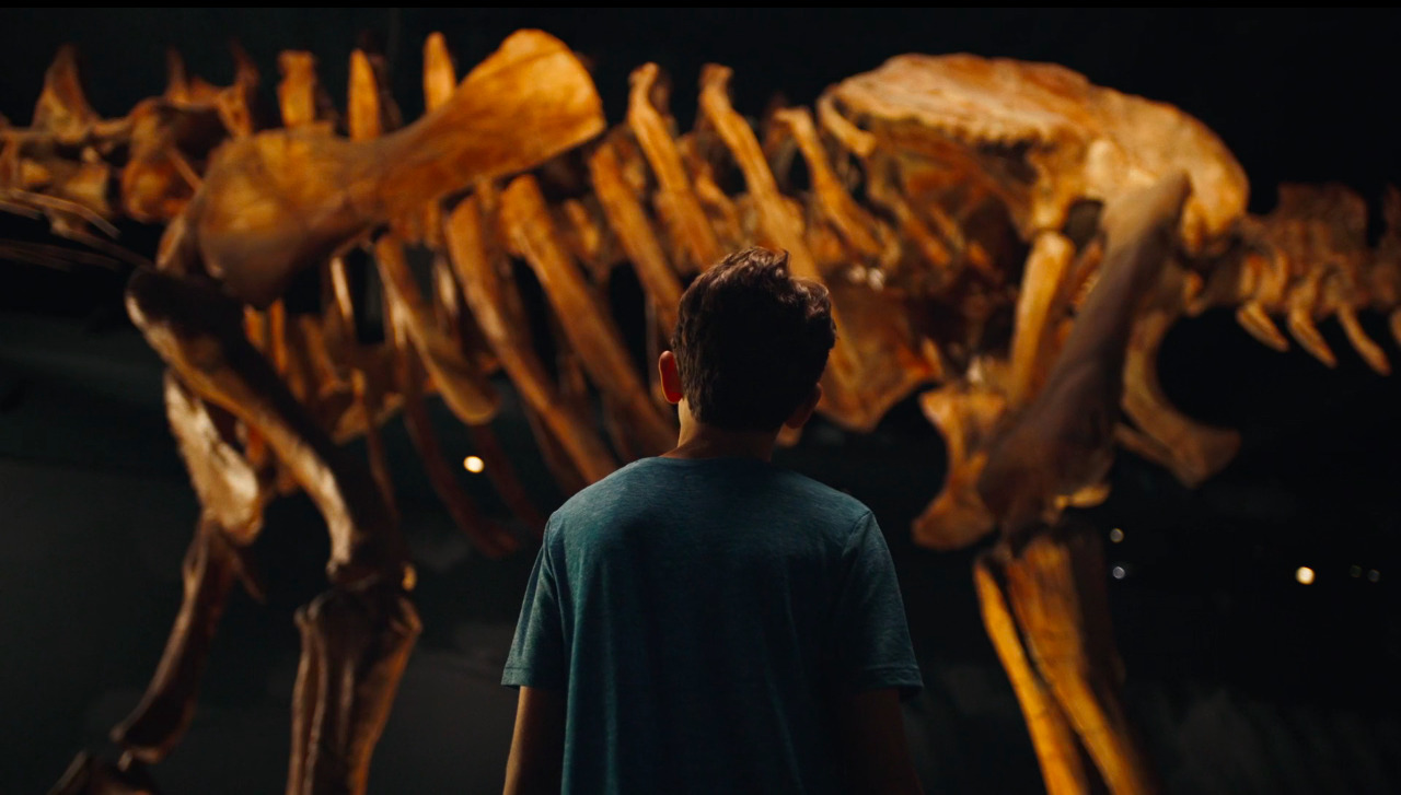 a man standing in front of a dinosaur skeleton