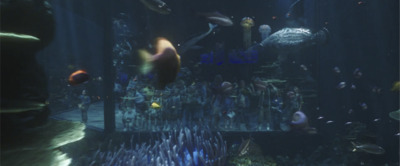 a large aquarium filled with lots of different types of fish