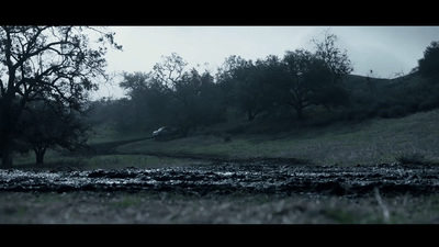 a field with trees and a stream in the middle of it