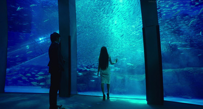 two people standing in front of a large aquarium