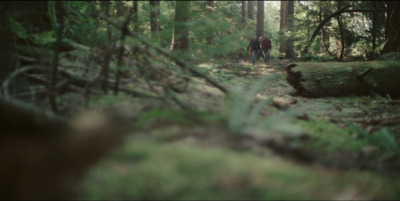 a couple of people walking through a forest