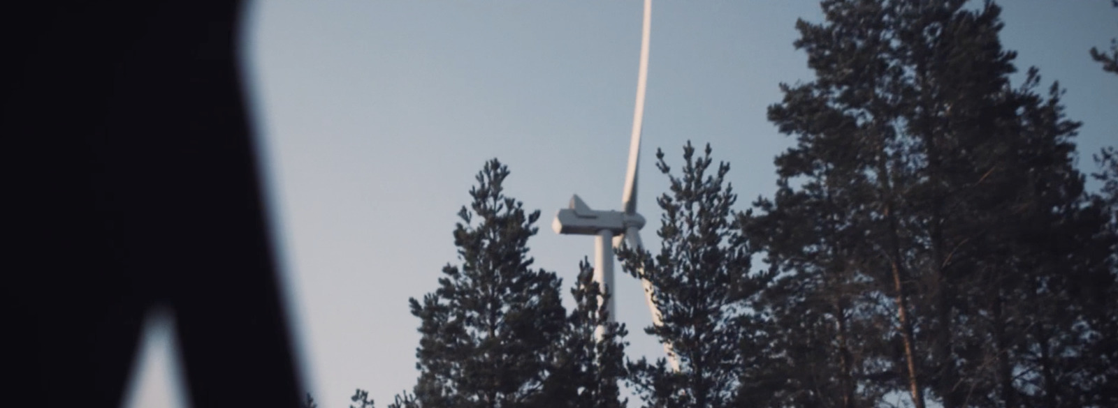 a plane flying over a forest of trees