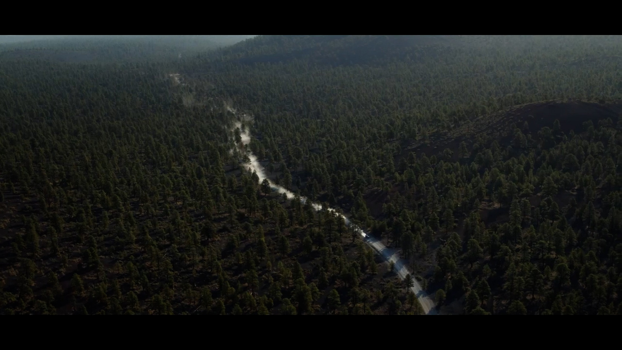 an aerial view of a river running through a forest