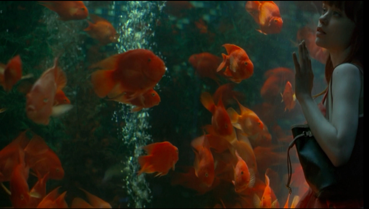 a woman standing in front of a fish tank